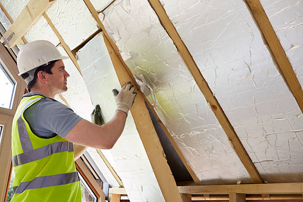 Best Energy-efficient Insulation  in Frederick, MD
